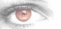 Are You Being Watched????